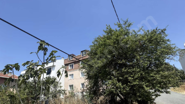 Ekran Resmi 2025-12-24 19.56.52