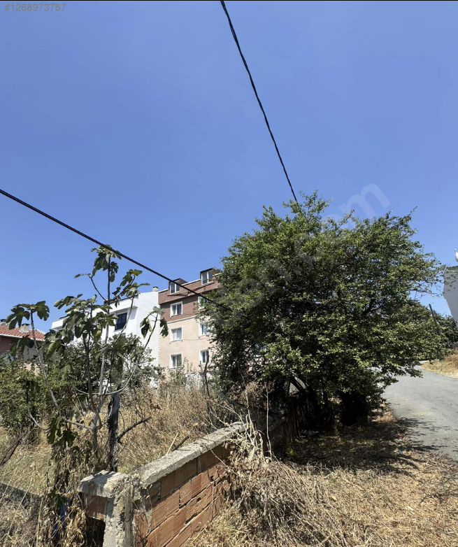 Ekran Resmi 2025-12-24 19.56.52